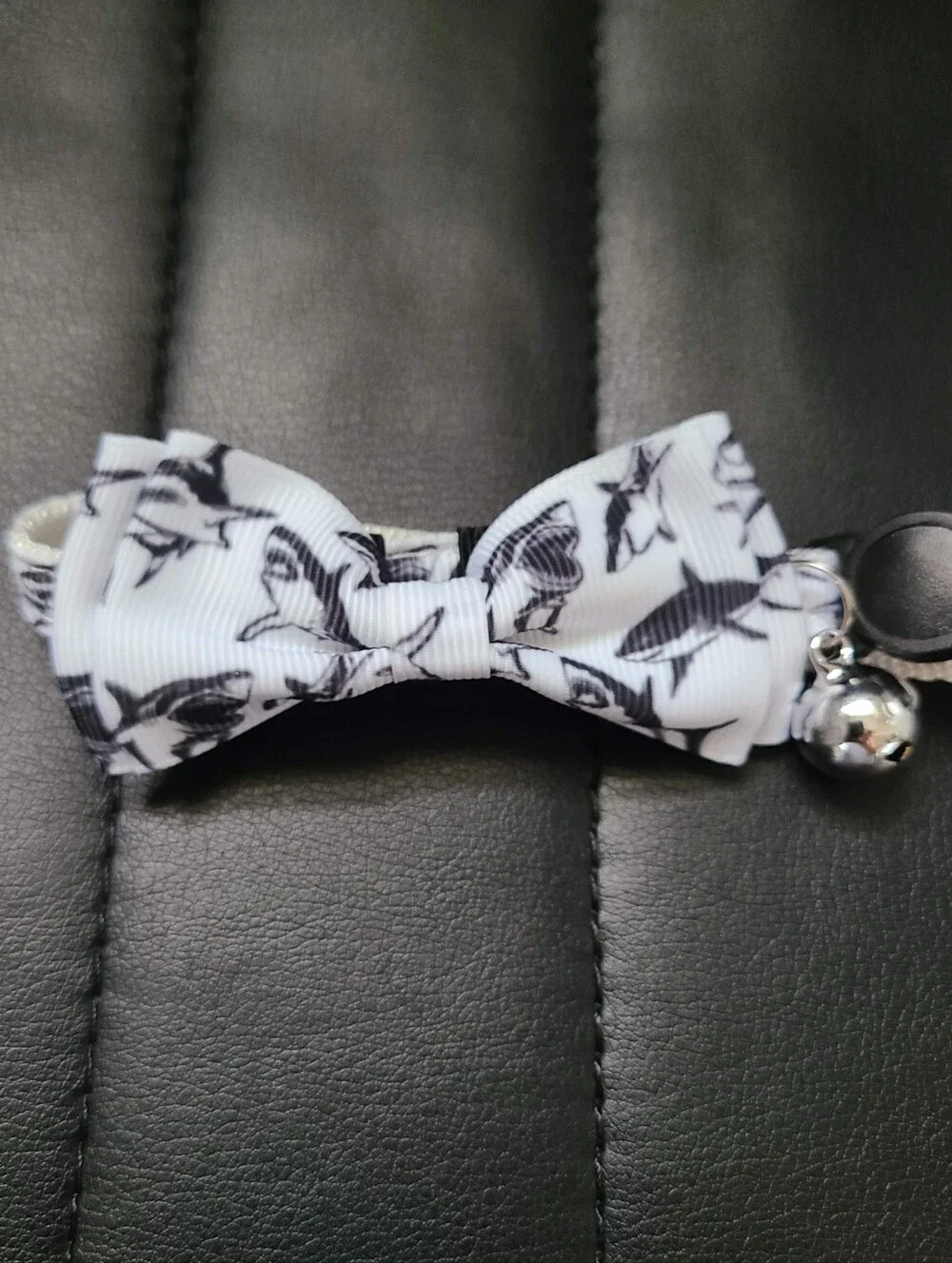 N/A cat collar
